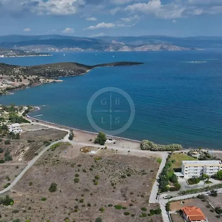 Vasiliki
